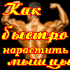 Как быстро нарастить мышцы